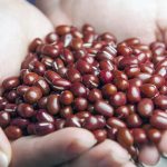 red-beans-01