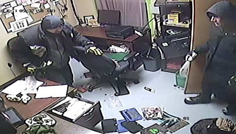 “侏羅紀森林”主題公園恐龍雕像被盜，警方全力通緝
