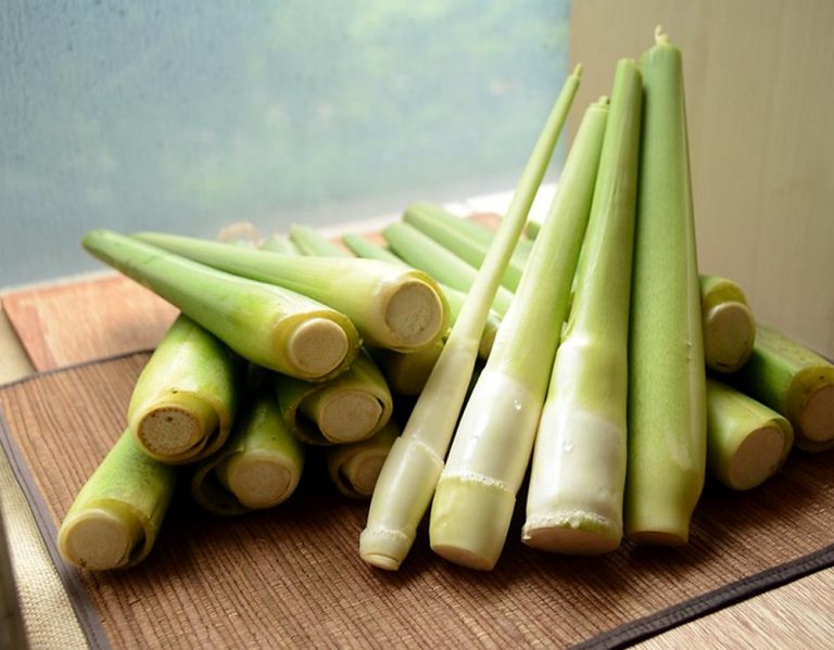 保護肝臟、助瘦身，筊白筍的9大好處！