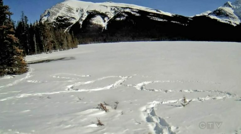 大難不死 埃德蒙頓遠足者在雪上寫 SOS 獲救