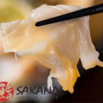 sakana