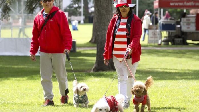 愛民頓 Canada Day 慶祝活動現場畫面