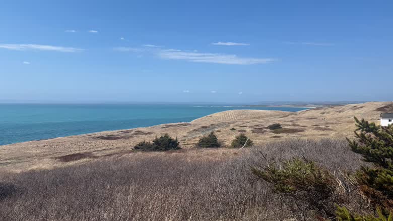 A wide, grassy area is seen next to a shoreline.