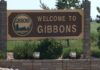 Gibbons鎮反駁省府可行性審查 稱正推進財政修復避免解散