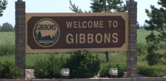 Gibbons鎮反駁省府可行性審查 稱正推進財政修復避免解散