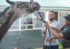 Two men wash a horse.