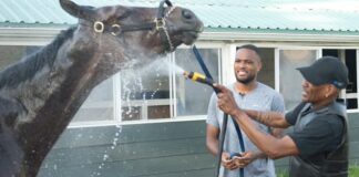 Two men wash a horse.