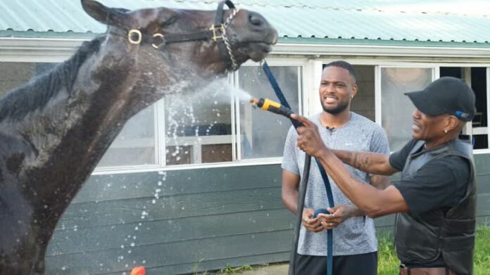 Two men wash a horse.