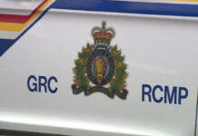 RCMP 警車標誌圖片