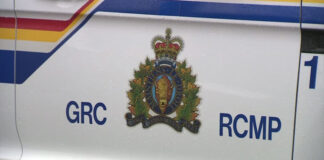 RCMP 警車標誌圖片
