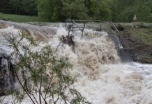 EPCOR稱愛民頓暴雨至今最少70毫米 排水系統暫未見容量問題