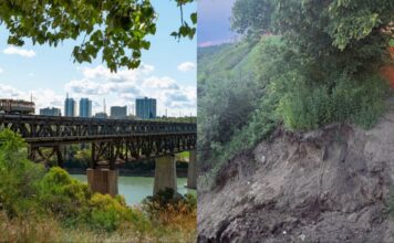 High Level Bridge 近 Ezio Faraone Park 斜坡受損情況