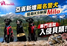 亞省新增兩名警犬 協助K9神探Milo 專門追蹤入侵貝類!