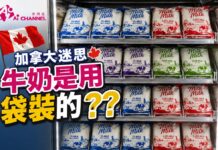 加拿大迷思 牛奶是用袋裝的!??