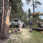 亞省Clearwater County遭龍捲風吹襲 多幢房屋建築受損暫未報傷亡