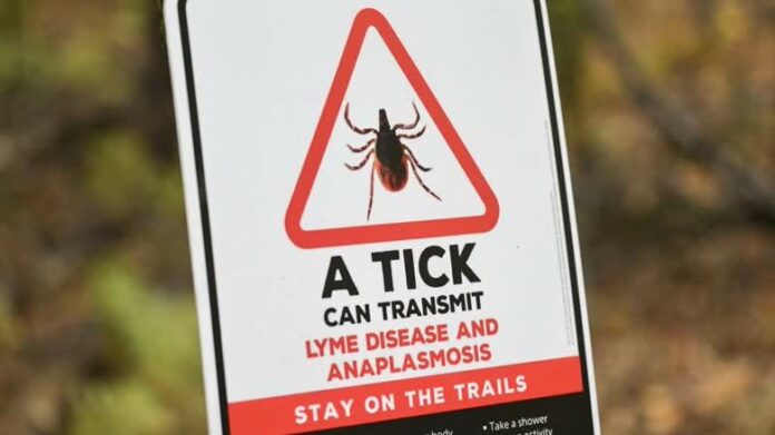 林間步道上的蜱蟲警告牌，配合蜱傳疾病風險上升報道。
