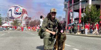 溫哥華警隊警員 Vanessa Holloway 與保安犬 Ryker 在世界盃球迷遊行期間執勤。