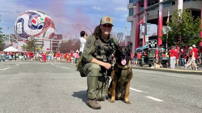 溫哥華警隊警員 Vanessa Holloway 與保安犬 Ryker 在世界盃球迷遊行期間執勤。