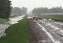 愛民頓以北Thorhild County宣布農業災害 農地水浸