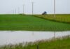 南亞省低窪農地因6月連場大雨出現積水情況。