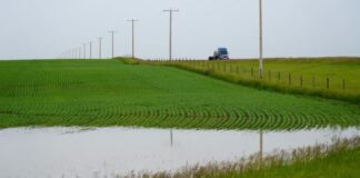 南亞省低窪農地因6月連場大雨出現積水情況。