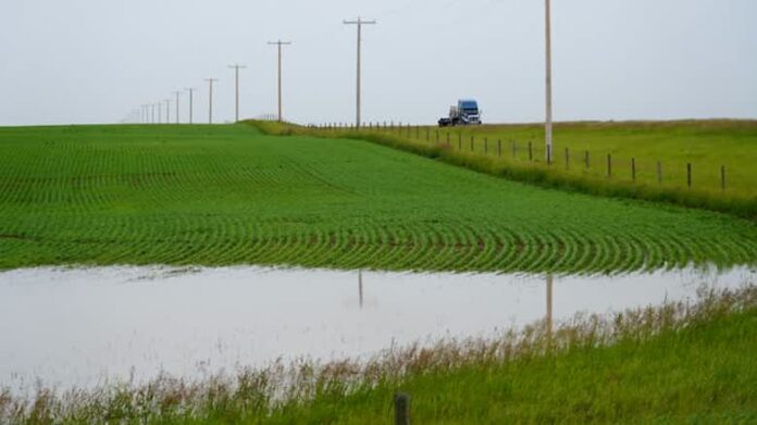 raincrop-featured 南亞省低窪農地因6月連場大雨出現積水情況。