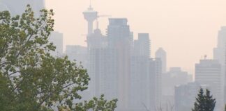 卡加利天空受山火煙霧影響出現灰濛景象，配合亞省今夏煙霧風險報道。
