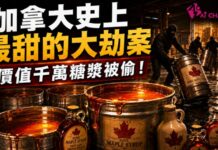 加拿大史上「最甜」大劫案 價值千萬糖漿被偷!