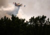 A yellow plane dumps water over a forest in a smoky sky.