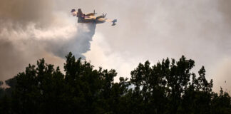A yellow plane dumps water over a forest in a smoky sky.
