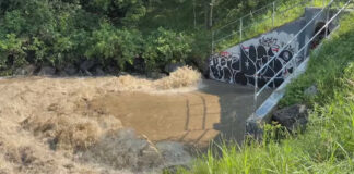 愛民頓今夏雨量創紀錄 專家籲檢視城市溪流與長期防洪