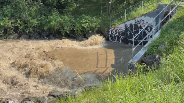 愛民頓今夏雨量創紀錄 專家籲檢視城市溪流與長期防洪 愛民頓今夏雨量創紀錄 專家籲檢視城市溪流與長期防洪