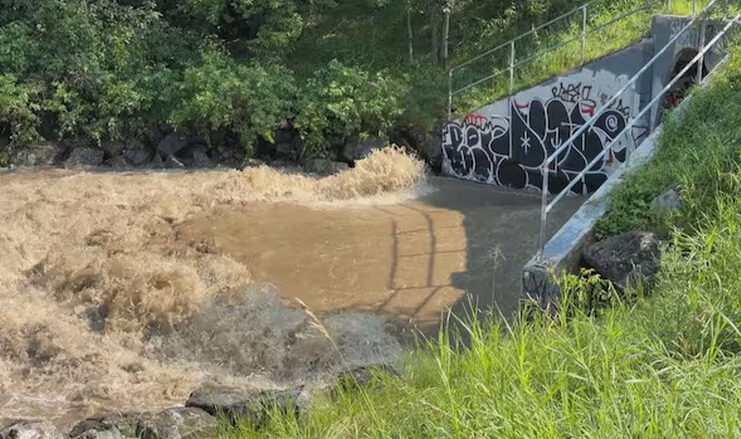愛民頓今夏雨量創紀錄 專家籲檢視城市溪流與長期防洪