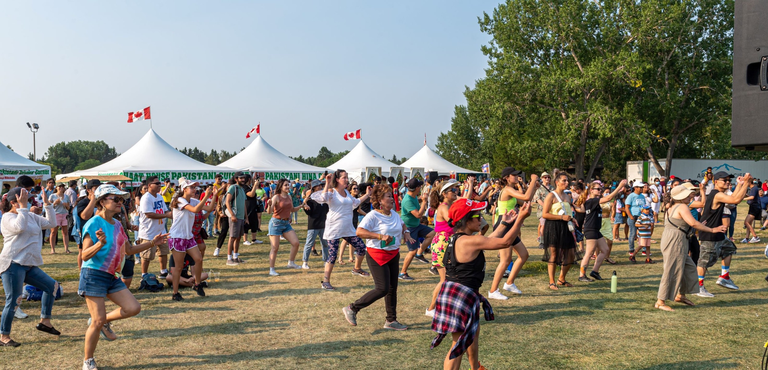 Edmonton Heritage Festival 的活動場面