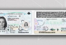 亞省三合一證件續期　部分已婚女性反映姓名文件受阻