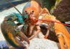 A lobster that is half blue, hald orange.