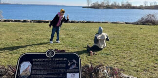 Heritage Toronto「Plaque Fridays」短片拍攝現場的鴿子吉祥物。