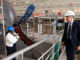 Prime Minister Mark Carney looks over a 212A class submarine under maintenance as he tours the ThyssenKrupp Marine Systems submarine-building facility in Kiel, Germany, in August 2025. (Christinne Muschi/The Canadian Press)
