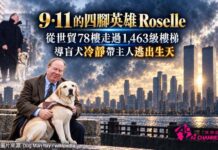 9·11 的四腳英雄 Roselle:從世貿78樓走過1,463級樓梯 導盲犬冷靜帶主人逃出生天