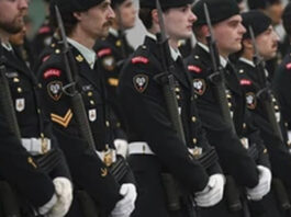 CFB Edmonton擬增約千人　新陸軍師司令部負責遠征任務
