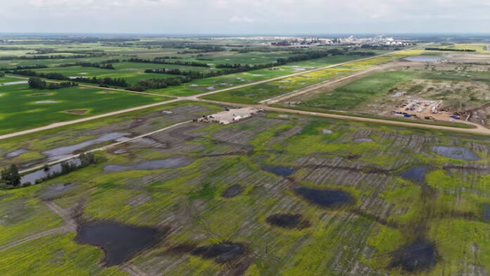 Sturgeon County Meta資料中心　專家憂投運初期推高亞省電費