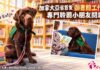 加拿大亞省首隻「圖書館工作犬」 專門聆聽小朋友閱讀