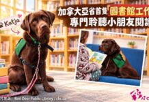 加拿大亞省首隻「圖書館工作犬」 專門聆聽小朋友閱讀