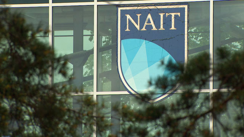 NAIT暫停法庭記錄文憑課程　前學生稱求職受阻盼問責
