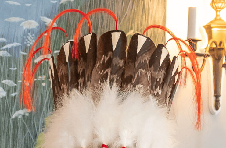 原住民族大會全國領袖Cindy Woodhouse Nepinak官方肖像。圖片來源：Assembly of First Nations。