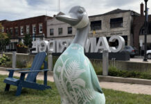 Jessica Penney設計的彩繪鵝，位於Cambridge市政廳外。圖片來源：Cambridge市政府提供／CityNews Kitchener。
