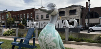 Jessica Penney設計的彩繪鵝，位於Cambridge市政廳外。圖片來源：Cambridge市政府提供／CityNews Kitchener。