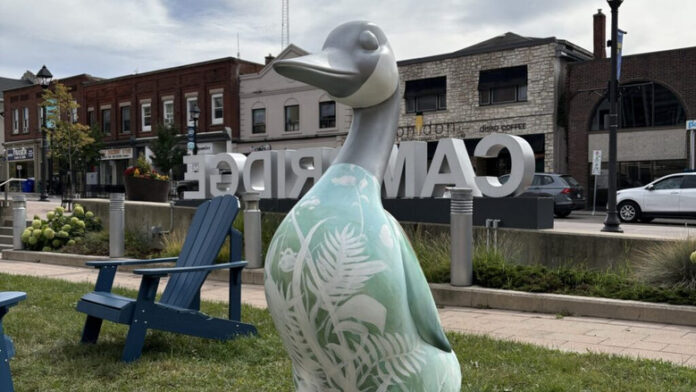 Jessica Penney設計的彩繪鵝，位於Cambridge市政廳外。圖片來源：Cambridge市政府提供／CityNews Kitchener。