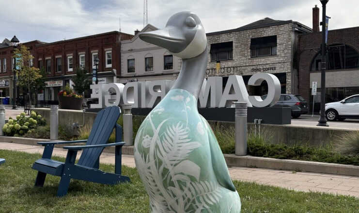 Jessica Penney設計的彩繪鵝，位於Cambridge市政廳外。圖片來源：Cambridge市政府提供／CityNews Kitchener。