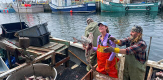 圖片來源：Caroline Hillier/CBC。Captain Lillian Saul, and her two-man crew, Derrick Smith and Shane Hawkins, bring a day's haul of cod back to Twillingate.